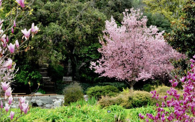 Los Angeles, Arboretum, Botanics, Botanical Gardens, Historic Sites, Gardens,Los Angeles County Arboretum and Botanics Garden