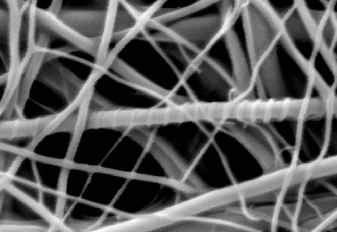 umass amherst, nanotechnology, nanotech, all natural nanotech, green nanotechnology, all natural, nanotechnology, nanotechnology developments, nanotechnology discoveries, green technology, sustainable technology, eco technology, clean technology