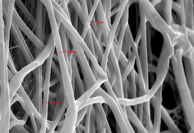 umass amherst, nanotechnology, nanotech, all natural nanotech, green nanotechnology, all natural, nanotechnology, nanotechnology developments, nanotechnology discoveries, green technology, sustainable technology, eco technology, clean technology