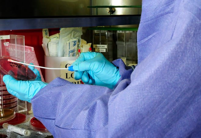 umass amherst, nanotechnology, nanotech, all natural nanotech, green nanotechnology, all natural, nanotechnology, nanotechnology developments, nanotechnology discoveries, green technology, sustainable technology, eco technology, clean technology