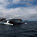 green design, eco design, sustainable design, solar power, solar panels, lithium-ion battery, solar powered ship, PlanetSolar, Hong Kong, Renewable energy, TURANOR
