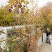 green design, eco design, sustainable design, Iwan Baan, Selgas Cano, Submerged building, natural light, Madrid