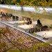 green design, eco design, sustainable design, Iwan Baan, Selgas Cano, Submerged building, natural light, Madrid