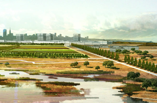 San Francisco, Treasure Island, Sustainable Development, Green Building