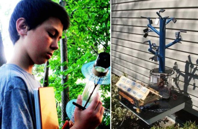 tree inspired solar, boy solar invention, Aidan Dwyer, solar array, new solar array, solar tree, solar technology, biomimicry solar,