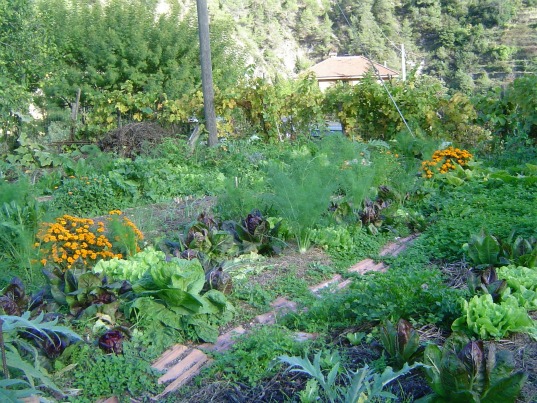 torri superiore, medieval italian village, self sufficient eco community, self producing, restored italian village