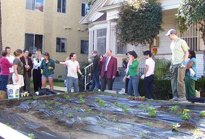 Urban Farming Food Chain PRoject, Living Walls, Green Living Technologies, Emslie Osler Architects, Silver Lake Farms, Community Supported Agriculture, Market Makeovers, South Los Angeles Healthy Heating, Active Communities Initiatve and Public Matters, The Urban Homestead, Pasadena, Urban Farming Advocates, urban farming