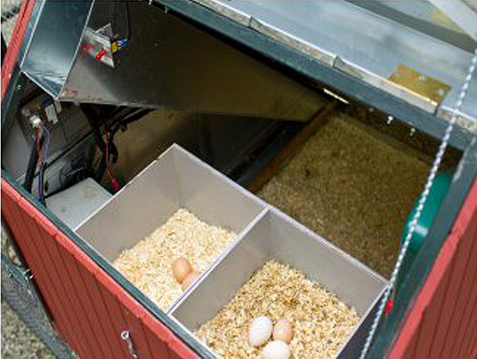 chicken coop, solar powere chicken coop, self propelling chicken coop, modern chicken coops, large chicken coops, medium chicken coops, small chicken coops, front yard chicken coop, full monty chicken coop, green farming, home farming, raising chickens at home