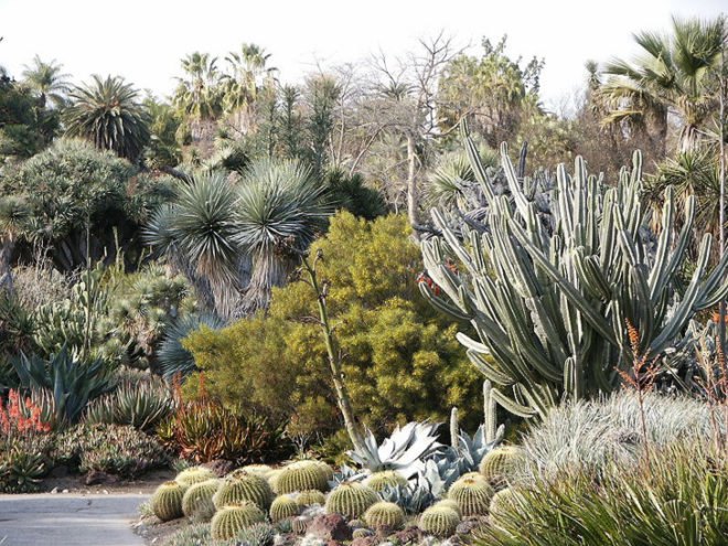 UCLA, Botanical Gardens, UCLA Mildred E. Mathias Botanical Garden,California State University, Fullerton, Fullerton Botanical Gardens, Los Angeles, The Huntington, Arboretum, Trees