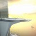 Dubai, Kingdom Tower, Burj Khalifa, Adrian Smith and Gordon Gill, Prince Alwaleed bin Talal, World's tallest building