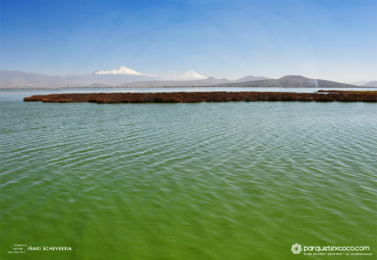 lago de texcoco, echeverria, sustainable cities, waterscaping, urban park, mexico city
