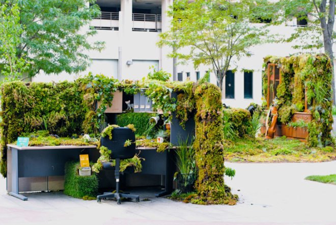 green desks, green design, plants, tres birds workshop, denver, art, installation