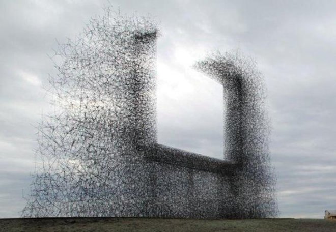 eco advertising, advertising, lead pencil studio, non-sign II, billboards,Washington,canada,