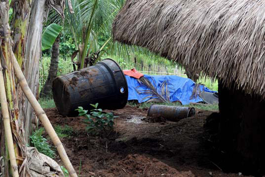 roots of health, mud house, green building, palawan, philippines, green design, sustainable design, green architecture, local materials, green materials, earth house, eco-friendly architecture, bamboo house