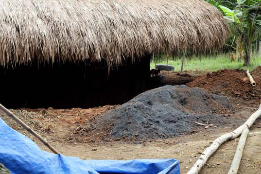 mud house, cogon roof, palawan, philippines, roots of health, alex evangelista, marcus swanepoel