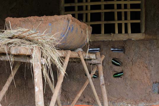 mixer, mud house, marcus swanepoel, building with mud, alex evangelista, roots of health, palawan, philippines