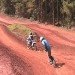 Performance Concepts Inc., MXB Shocker, motocrossboard, standing bike board, standing electric bike, snowboard bike, electric motorcycle, electric bike, green transportation, alternative transportation, green bike design, Andy Keel