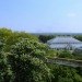 Xstrata Treetop Walkway, kew gardens, treeptop walkway london, walkway design, tree canopy walkway, kew gardens walkway, arboretum walkway
