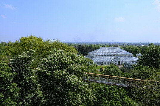 Xstrata Treetop Walkway, kew gardens, treeptop walkway london, walkway design, tree canopy walkway, kew gardens walkway, arboretum walkway