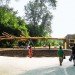 green design, eco design, sustainable design, Indianapolis Museum of Art, 100 Acres Park, Visiondivision, yellow poplar tree, Chopstick, visitor kiosk, bark shingles, Indiana
