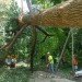 green design, eco design, sustainable design, Indianapolis Museum of Art, 100 Acres Park, Visiondivision, yellow poplar tree, Chopstick, visitor kiosk, bark shingles, Indiana