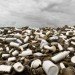 Washed Up, Alejandro Durán, green art, recycled art, mexico artwork, trash can ocean art, environmental art mexico, UNESCO World Heritage site, Sian Ka’an, floating trash mexico