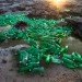 Washed Up, Alejandro Durán, green art, recycled art, mexico artwork, trash can ocean art, environmental art mexico, UNESCO World Heritage site, Sian Ka’an, floating trash mexico