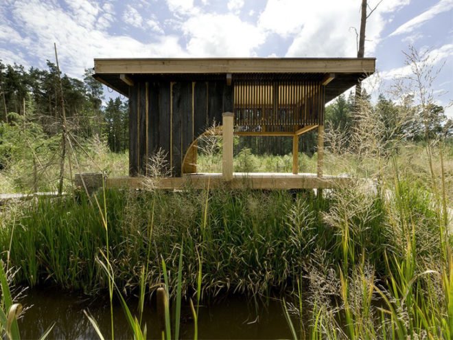 green design, eco design, sustainable design, A1 Architects, Teahouse, oculus, bamboo, charred larch, meditation room, green roof
