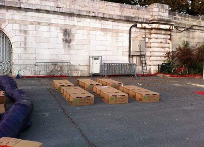 Cardboard, cardboard bed, disaster relief, humanitarian design, LeafBed, Leaf Supply