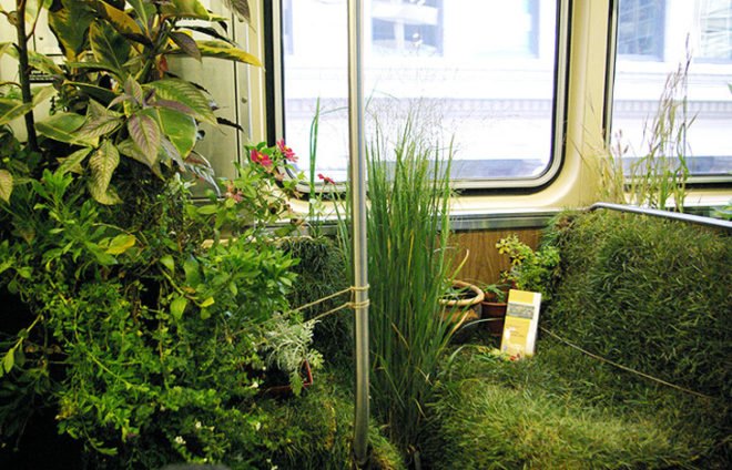 green design, eco design, sustainable design, The Mobile Garden, Art on Track, noisivelvet, CTA, subway train garden, indigenous plants