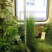 green design, eco design, sustainable design, The Mobile Garden, Art on Track, noisivelvet, CTA, subway train garden, indigenous plants