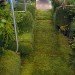 green design, eco design, sustainable design, The Mobile Garden, Art on Track, noisivelvet, CTA, subway train garden, indigenous plants