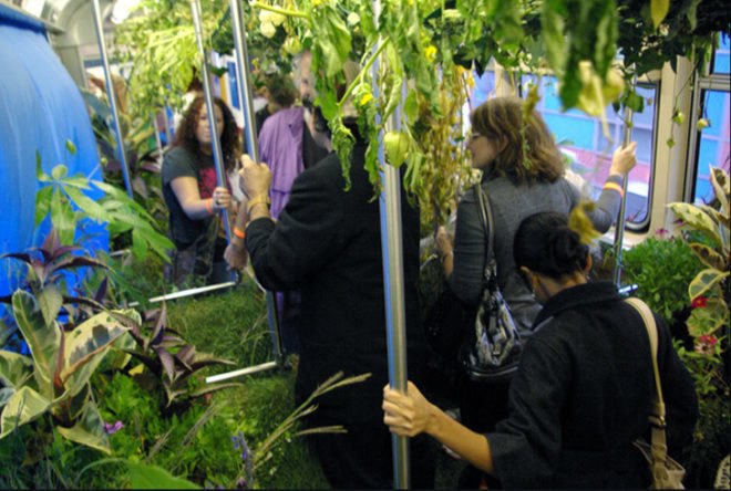 green design, eco design, sustainable design, The Mobile Garden, Art on Track, noisivelvet, CTA, subway train garden, indigenous plants