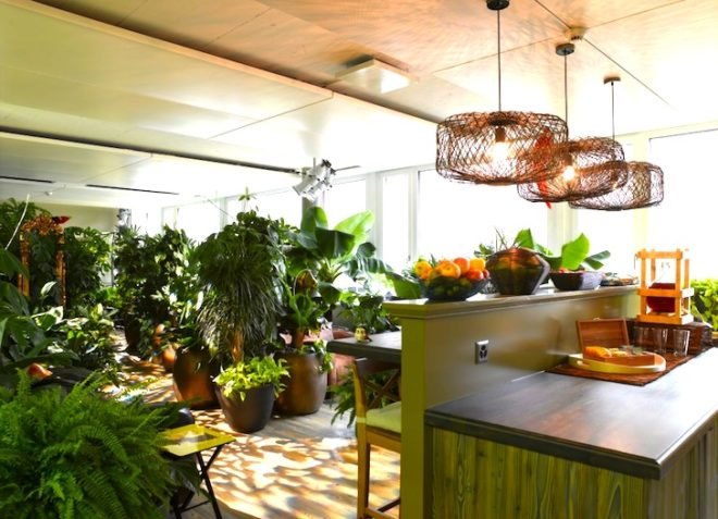 Google, Zurich, Zooglers, Adaptive Reuse, renovation, daylight, glass-partitioning, eco design, sustainable design, green design, collaborative space, green space, daylighting