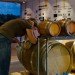 Genussregal, BWM Architekten und Partner, cargotecture, shipping containers, austria, local food, wine shop, sustainable food