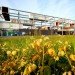 Genussregal, BWM Architekten und Partner, cargotecture, shipping containers, austria, local food, wine shop, sustainable food