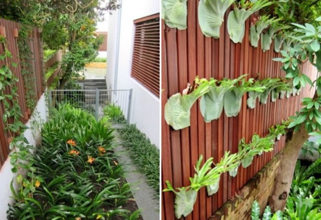 Kirribilli House, Luigi Rosselli Architects, rammed earth, sydney, australia, green home