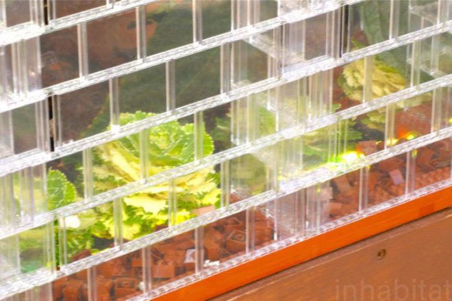TaflineLondon2011, green design, sustainable design, eco-design, LEGO greenhouse, sebastian bergne, covent square, london, sustainable development, urban development, fruit and vegetable market, organic vegetables