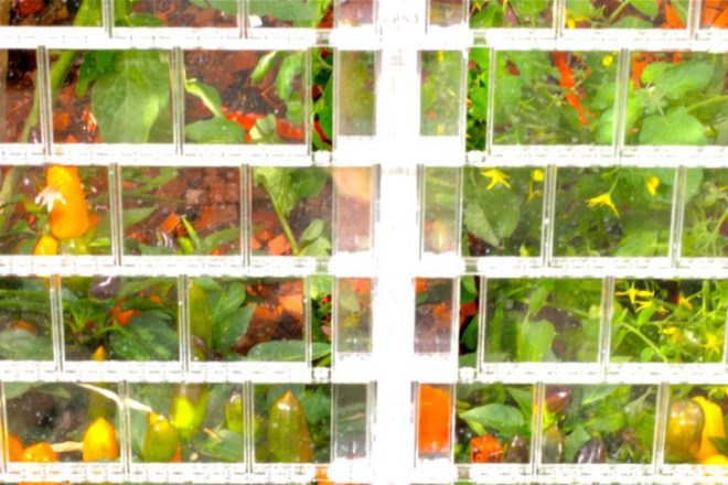 TaflineLondon2011, green design, sustainable design, eco-design, LEGO greenhouse, sebastian bergne, covent square, london, sustainable development, urban development, fruit and vegetable market, organic vegetables