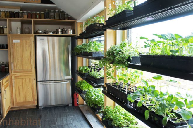 middlebury college, solar decathlon, 2011 solar decathlon, self-reliance house, middlebury college self-reliance, solar power, local materials, vermont materials, middlebury college solar decathlon, self reliance solar decathlon, solar power home
