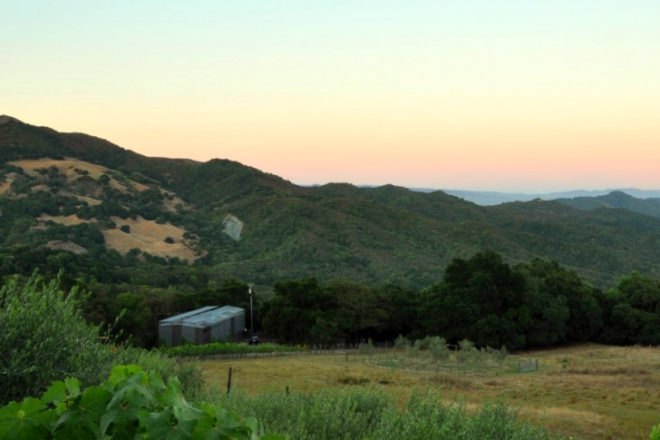 Sonoma Barn, Michael Hennessey Architecture, barn renovation, living shade screen, sonoma, vineyard