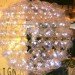 sustainable design, eco-design, TaflineLondon2011, green design, London Design Festival, 100% Design, LED lights, energy efficiency, temporary building, vertical garden,