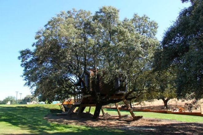 Rooted Treehouse, Urbanarbolismo, treehouse, spain, cork, tree, green design,
