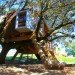 Rooted Treehouse, Urbanarbolismo, treehouse, spain, cork, tree, green design,