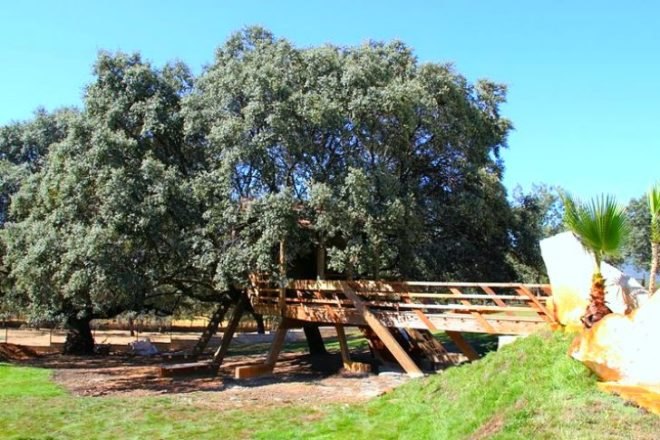 Rooted Treehouse, Urbanarbolismo, treehouse, spain, cork, tree, green design,