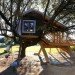 Rooted Treehouse, Urbanarbolismo, treehouse, spain, cork, tree, green design,