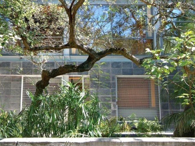 green design, eco design, sustainable design, Capetown, South Africa, Van Der Merwe Miszewski Architects, glass curtain, Treehouse