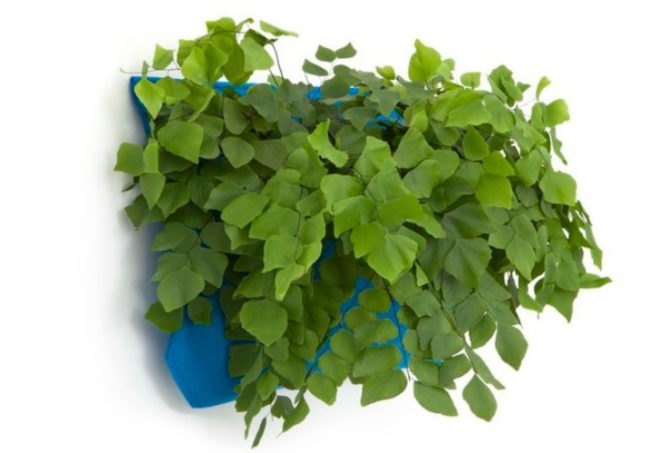 green furniture, dorm furniture, eco furniture, green furnishings, small space living, back to school