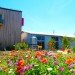 LEED silver, unabridged Architecture, green design, sustainable design, eco-design, "After the Storm", Mississippi, Katrina, rainwater harvest, natural lighting, natural ventilation, recycled materials, locally-sourced materials, indigenous flora, phytoremediation