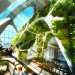 Taiwan, Centennial, sky garden, living facade, green wall, vertical garden, Taichung, Vincent Callebaut, green design, sustainable design, solar energy, wind energy, bio-energy, Taichung, Vincent Callebaut
